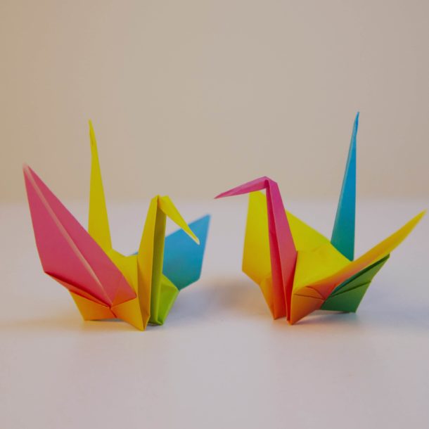 Origami Private Coaching